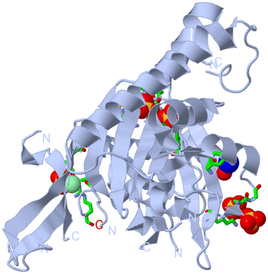 Image Biol. Unit 1 - sites