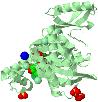 Image Biological Unit 2