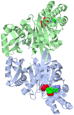 Image Asym./Biol. Unit