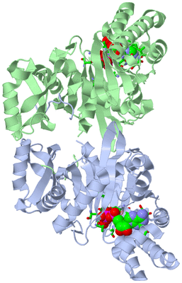 Image Asym./Biol. Unit - sites