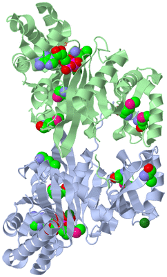 Image Asym./Biol. Unit