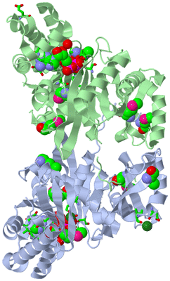 Image Asym./Biol. Unit - sites