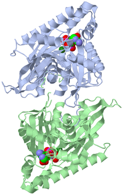 Image Asym./Biol. Unit