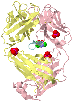 Image Biological Unit 2