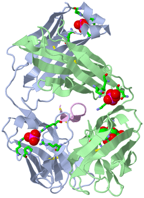 Image Biol. Unit 1 - sites