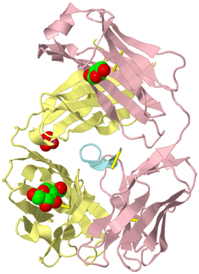 Image Biological Unit 2