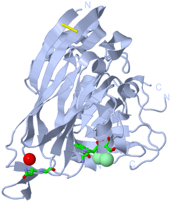 Image Biol. Unit 1 - sites