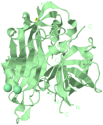 Image Biological Unit 2