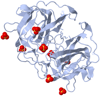 Image Biological Unit 1