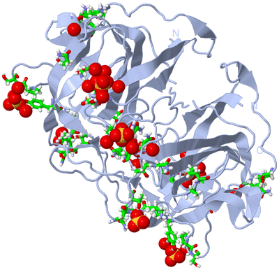 Image Biol. Unit 1 - sites