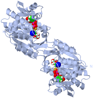 Image Biological Unit 1