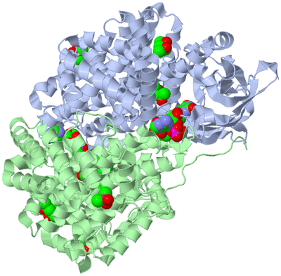 Image Biological Unit 1