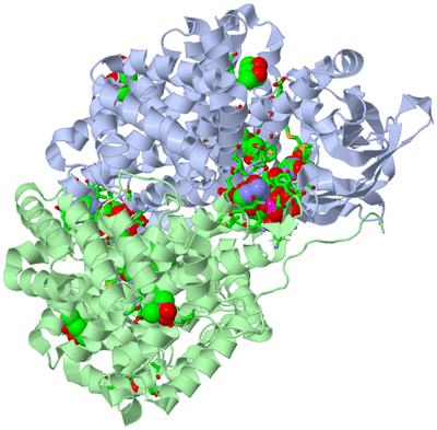 Image Biol. Unit 1 - sites