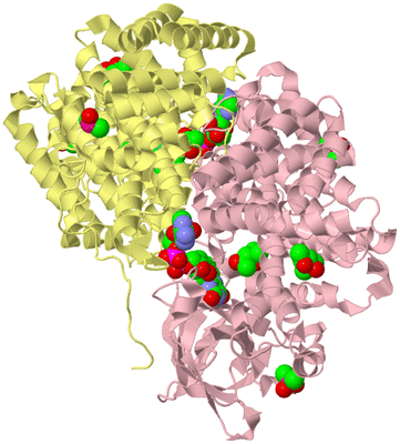 Image Biological Unit 2