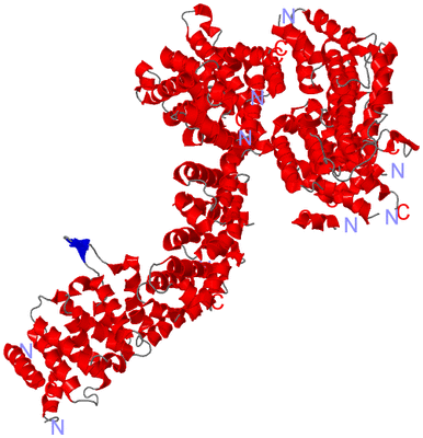 Image Asym./Biol. Unit