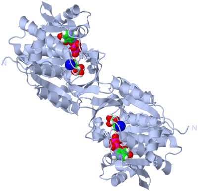 Image Biological Unit 1