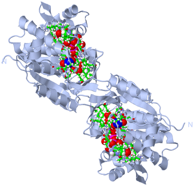 Image Biol. Unit 1 - sites