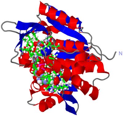 Image Asym. Unit - sites