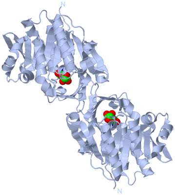 Image Biological Unit 1