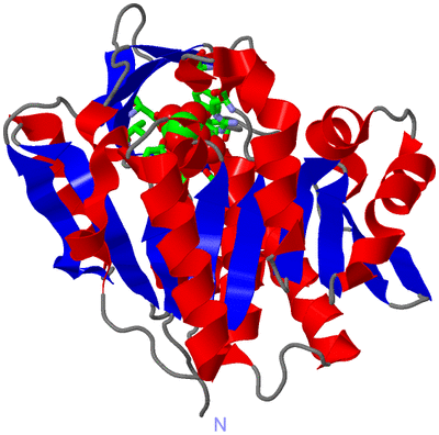 Image Asym. Unit - sites