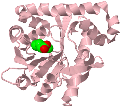 Image Biological Unit 3