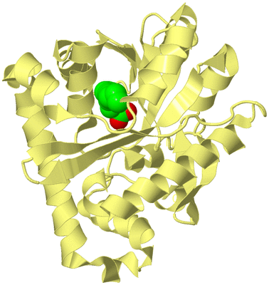 Image Biological Unit 4