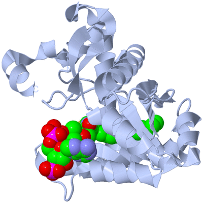 Image Biological Unit 1