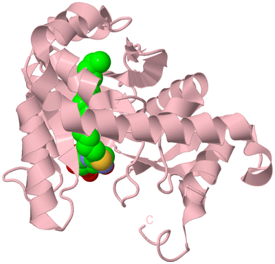 Image Biological Unit 3