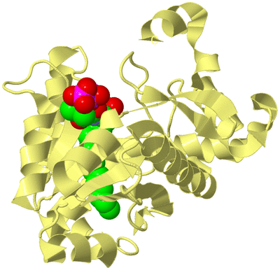 Image Biological Unit 4