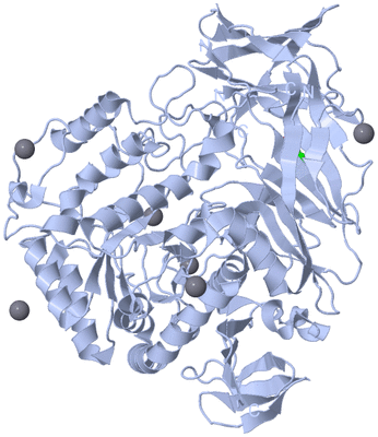 Image Biological Unit 1