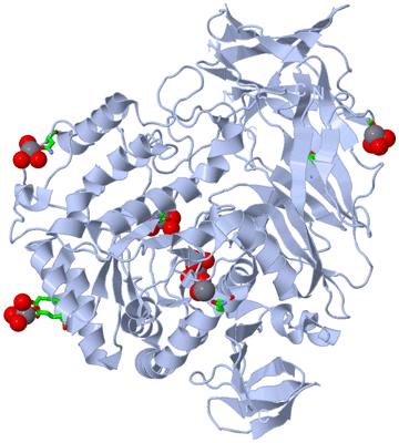 Image Biol. Unit 1 - sites