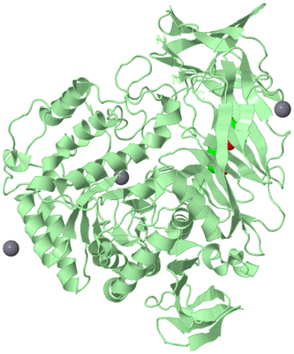 Image Biological Unit 2