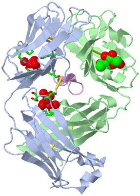 Image Biol. Unit 1 - sites