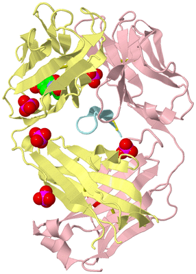 Image Biological Unit 2