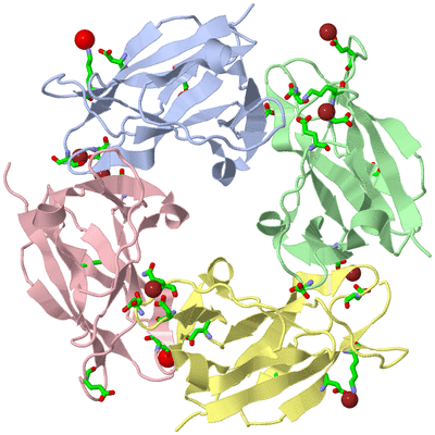 Image Asym./Biol. Unit - sites