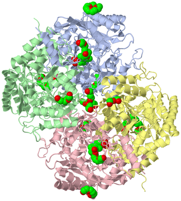 Image Asym./Biol. Unit