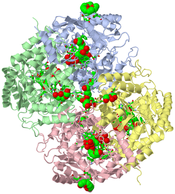 Image Asym./Biol. Unit - sites