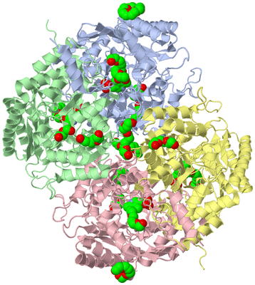 Image Asym./Biol. Unit