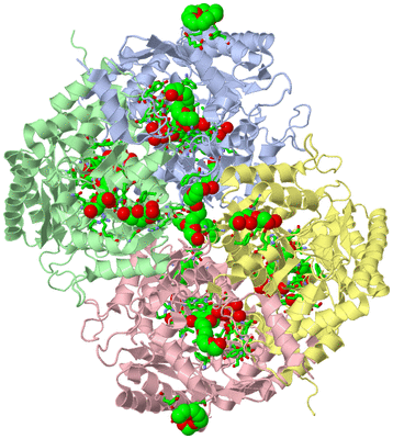 Image Asym./Biol. Unit - sites