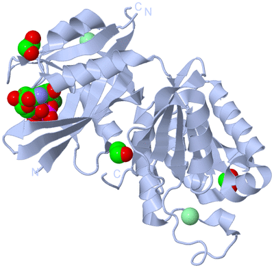 Image Biological Unit 1