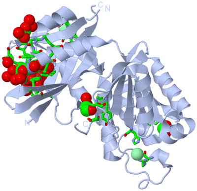 Image Biol. Unit 1 - sites