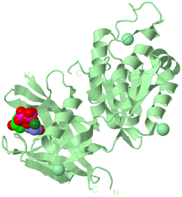 Image Biological Unit 2