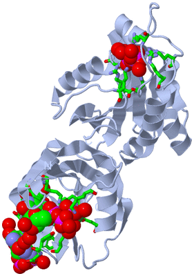 Image Biol. Unit 1 - sites