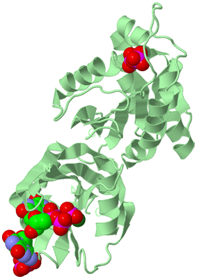 Image Biological Unit 2