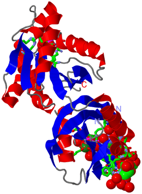 Image Asym./Biol. Unit - sites