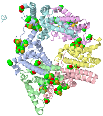 Image Asym./Biol. Unit