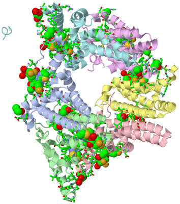 Image Asym./Biol. Unit - sites