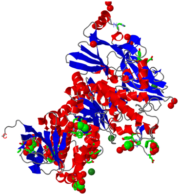 Image Asym./Biol. Unit - sites