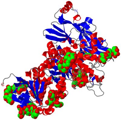 Image Asym./Biol. Unit