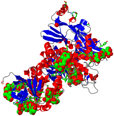 Image Asym./Biol. Unit - sites